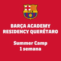 Residency Summer Camp 2026